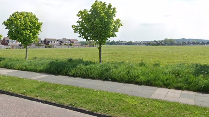 A view of Links View playing fields from the road with two young trees in the foreground and housing in the background.
