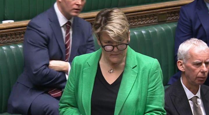 Glastonbury and Somerton MP Sarah Dyke addresses parliament in a green jacket and black top. Other male MPs are in the background.