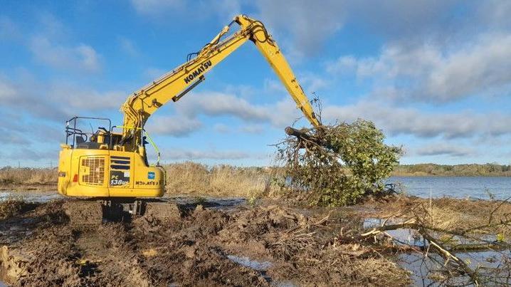 A digger putting a tree in water