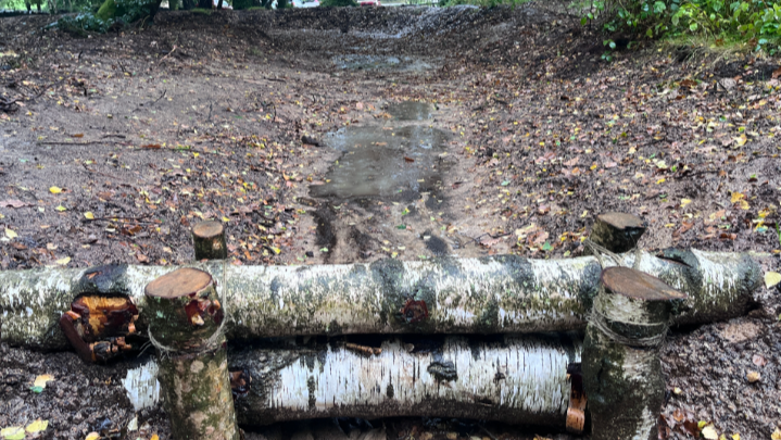 A dam built from two long horizontal logs supported by four shorter logs.  It stands across a channel, in a woodland, where some water is flowing