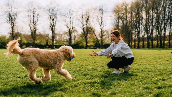 woman playing fetch with dog