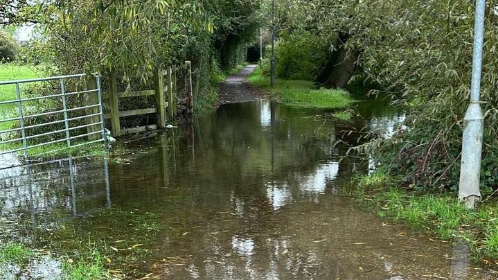 A flooded pathway next to a field. 