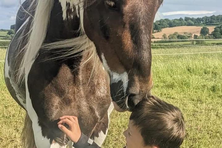 Jerry, a brown horse with white patches and a white mane, nuzzles Theo, a young boy with brown hair. Theo holds his hand to Jerry's chest.
