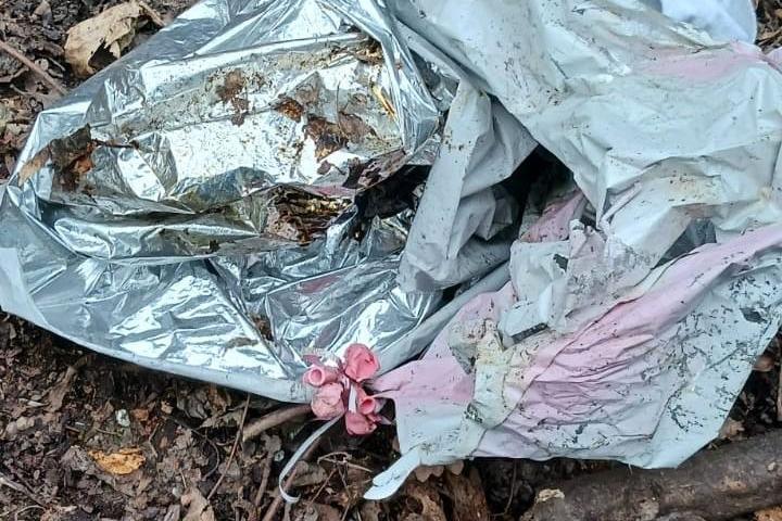A deflated helium balloon is lying on the muddy ground in woodland. It is silver, blue and pink in colour.