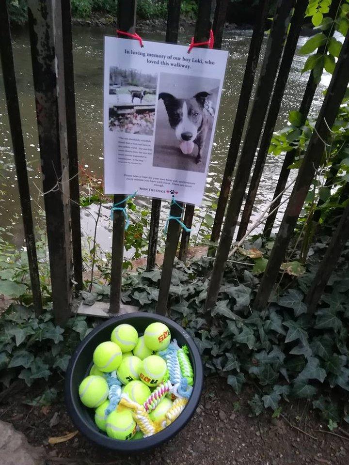 The tennis ball tribute