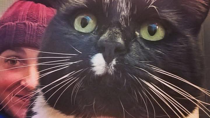 A close-up selfie of a black and white cat's face, with a woman in a dark pink beanie smiling to his left.