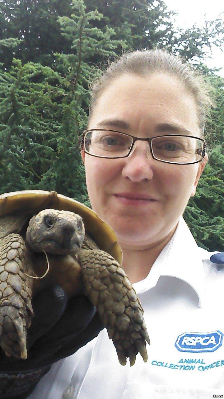 RSPCA officer Nicola Sullivan