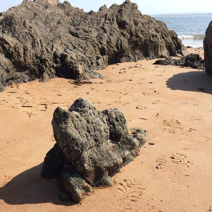 Rocks at Rosemarkie beach