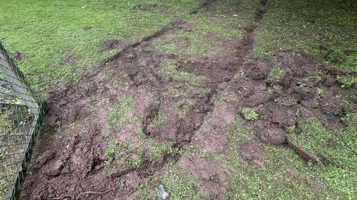 A large patch of grass which has been placed over a large muddy hole in Wigton Park. 