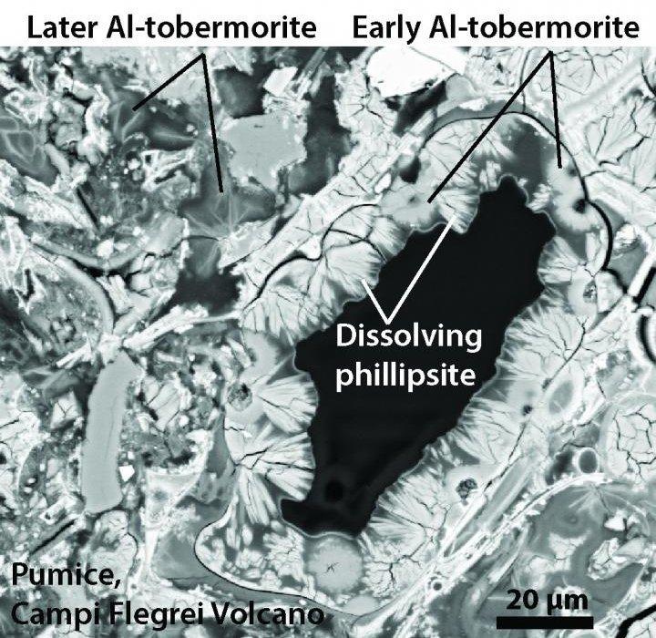 microscope stone