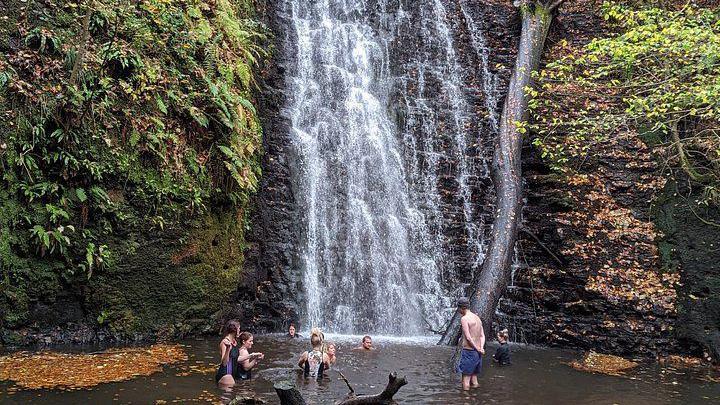 Eight people in a small waterfall. There are leaves in the brownish pond as they stand to about waist-high in the water.