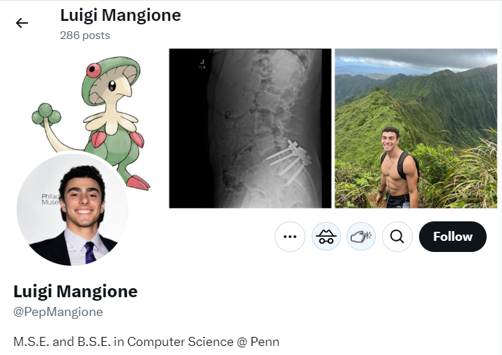 A series of pictures across the top of Mangione's X account, showing an animated character, a picture of Mangione smiling, a picture of Mangione with his shirt off in front of a mountain and an x-ray showing four metal pins in a spine