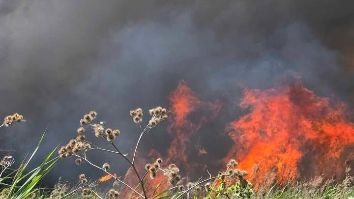 A large fire with lots of smoke in a field