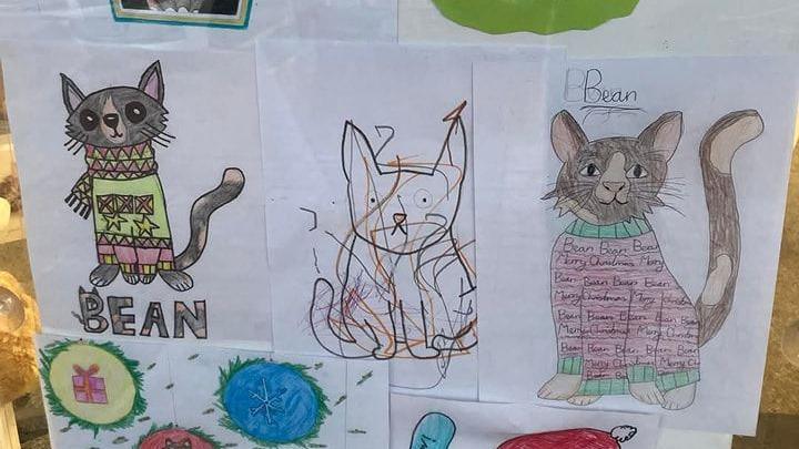 Children's drawings of Bean the cat hanging in a shop window. The drawings show the cat in colourful Christmas jumpers.