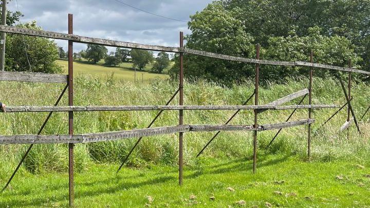 Upright frames in the grass