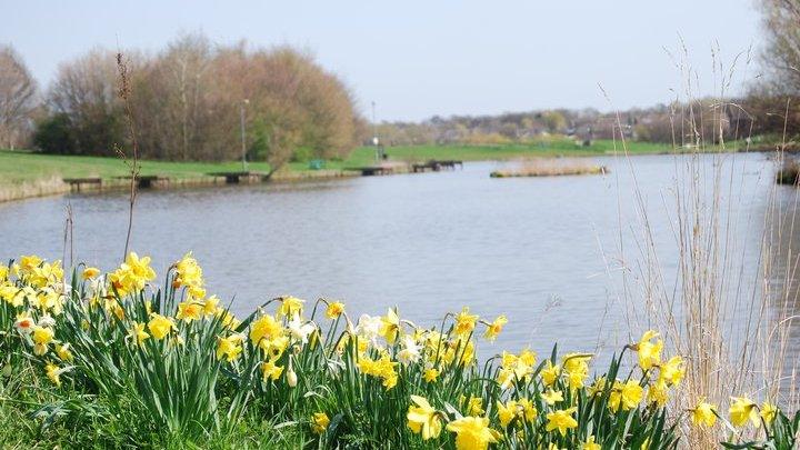 Hemlington Lake