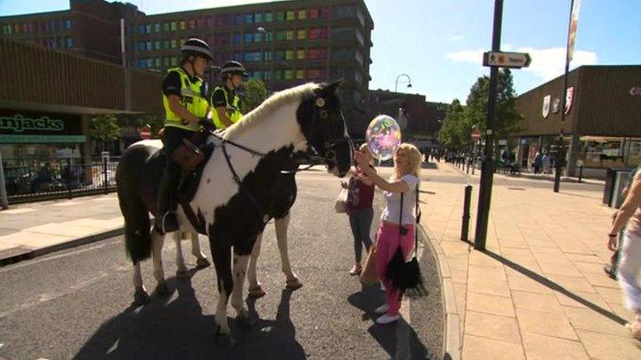 Police horses