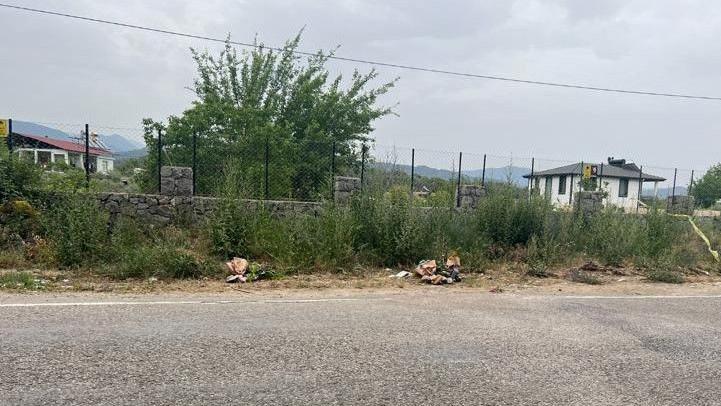 A road in Turkey that has overgrown vegetation on its verge and a fence.