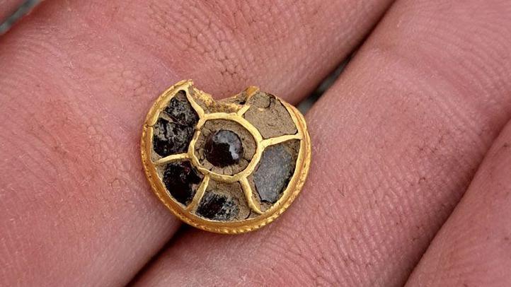 A small Anglo-Saxon era gold and red stone button or stud, slightly damaged on its top edge. It is round and has six compartments on its face, which were inlaid with red stones - some still existing. It is resting on the fingers of the detectorist who found it.