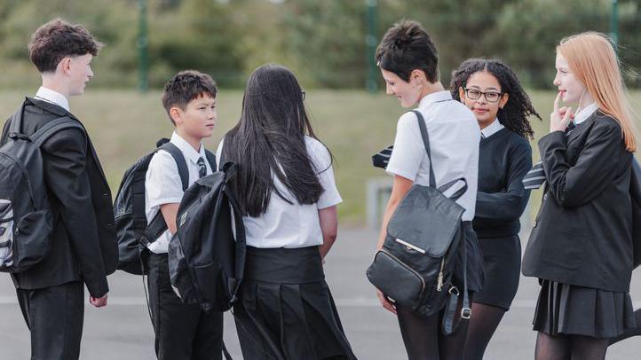 Six school children chatting in a playground.