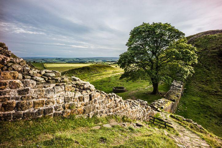 Sycamore Gap and Hadrian's wall.