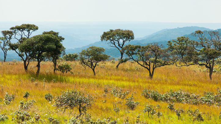 Upemba National Park in the Congo.