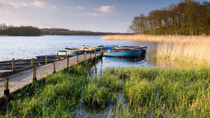 lake with reeds and boat