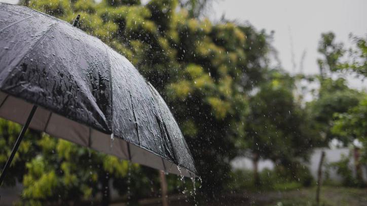 umbrella in rain