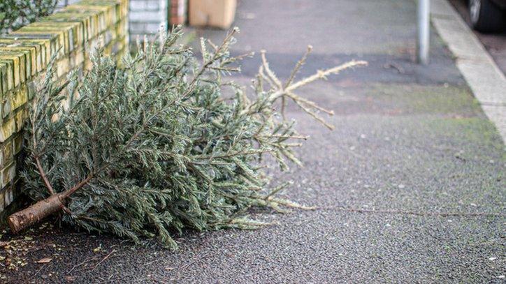 A Christmas tree on the side of the road