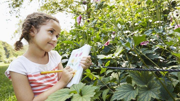 Girl drawing next to bushes