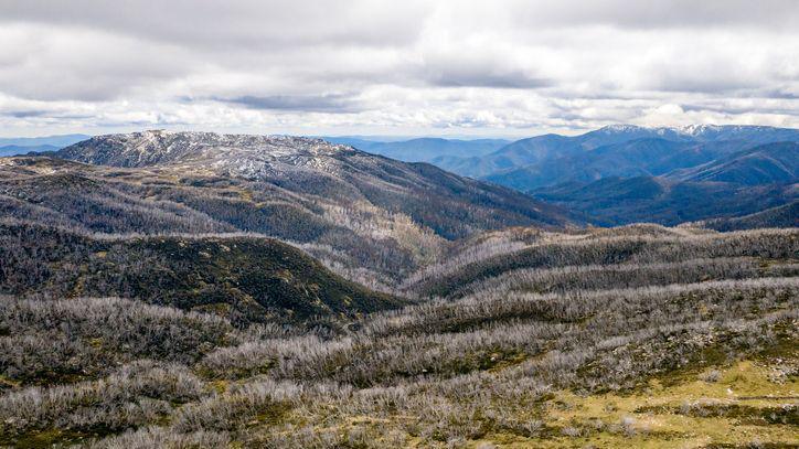 Australian Alps.