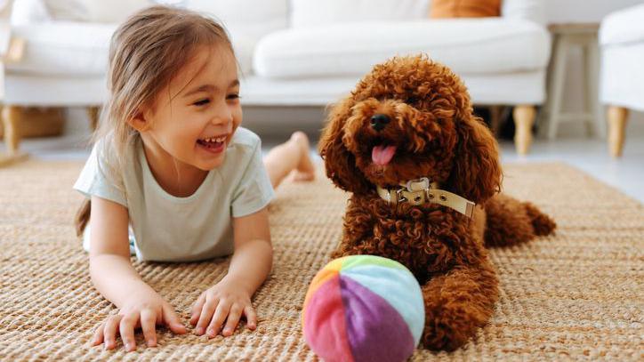 Girl and her poodle both smiling at each other.