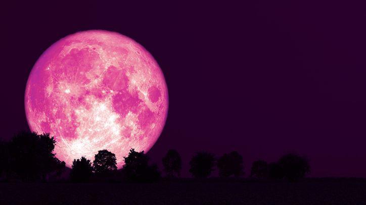 Strawberry Moon with silhouette trees in a field.