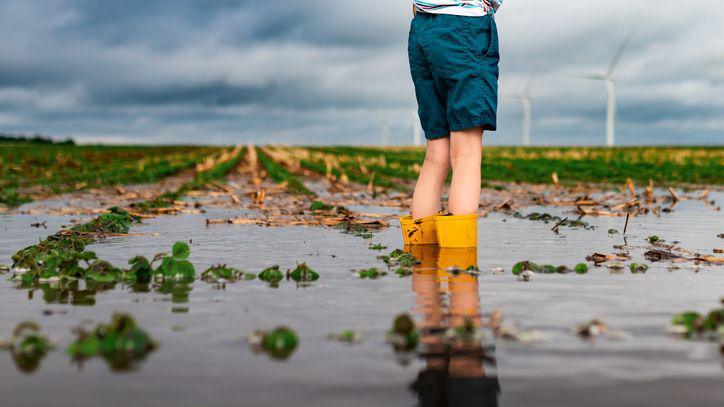 child standing in flooded field wearing rubber boots