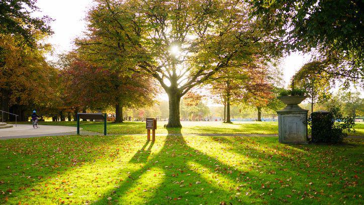 A bright sunny day at Coventry's War Memorial Park. Someone can be seen riding a bike. There are lots of big trees and memorials. 