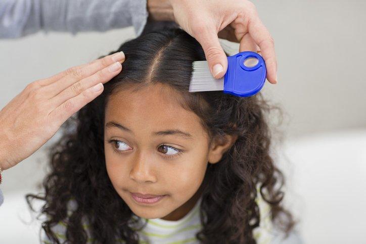 girl being examined for head lice