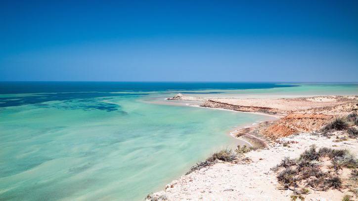 Shark Bay in western Australia.
