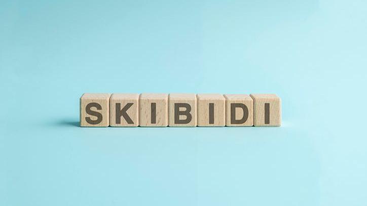 Word 'skibidi' written with wooden blocks.
