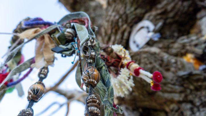 Offerings on an ancient oak tree in the Malvern Hills. There are colourful beads, tassels and ribbions.