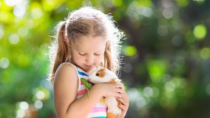 Child holding a guinea pig.
