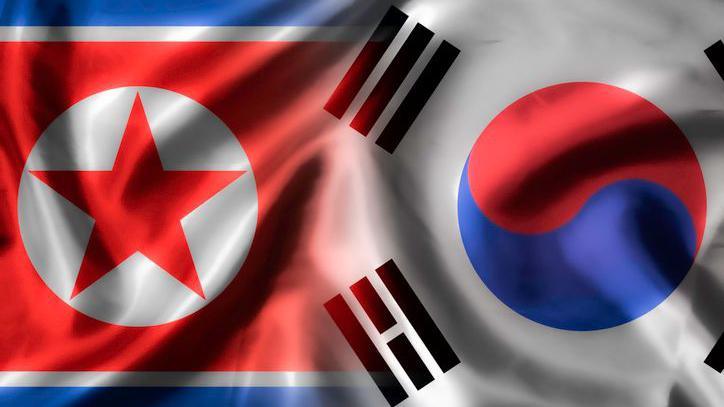 Flags of North and South Korea