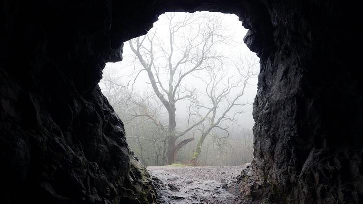 Looking out of a cave entrance onto a misty winter's day in the Malvern Hills. Through the entrance, a tree with bare branches can be seen.