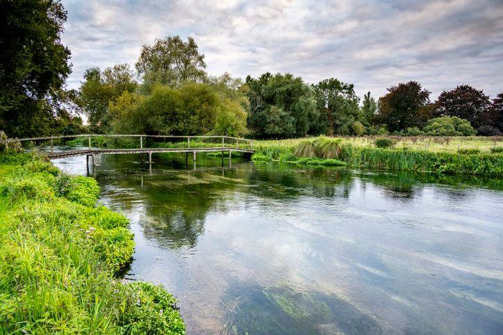 A picture of about a 10 metre-wide river. The plants and chalk base can be seen in the river, and the banks are a lush green. A narrow metal-framed footbridge runs across it. there is a row of trees in the background the sky is dappled blue and white with clouds.