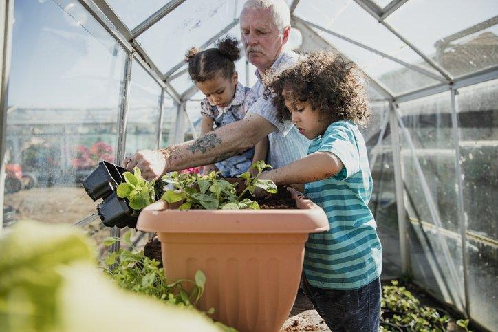 kids gardeninig with grandad