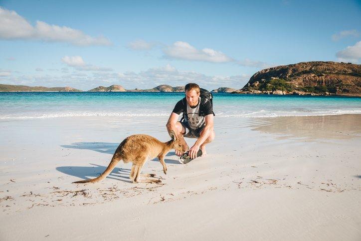 Backpacker greeting kangaroo on Australian beach.