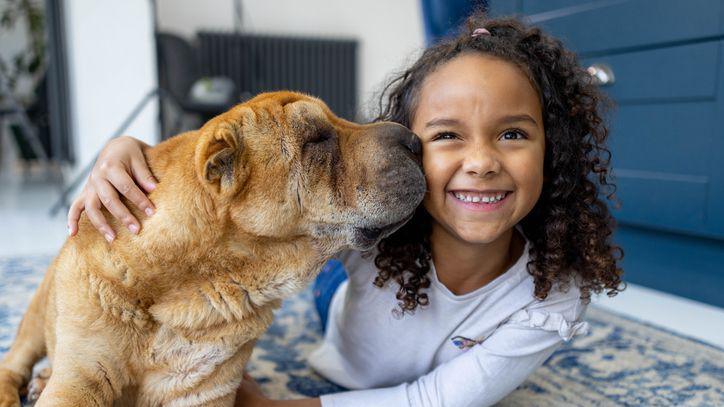 A shar-pei pet dog kisses a young girl on the cheek. They are both lying on the floor. The girl has an excited, positive emotion on her face.