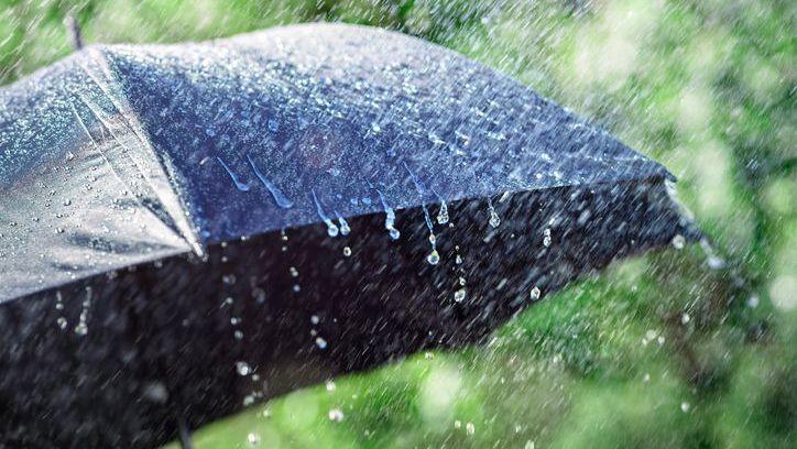 Rain on umbrella.