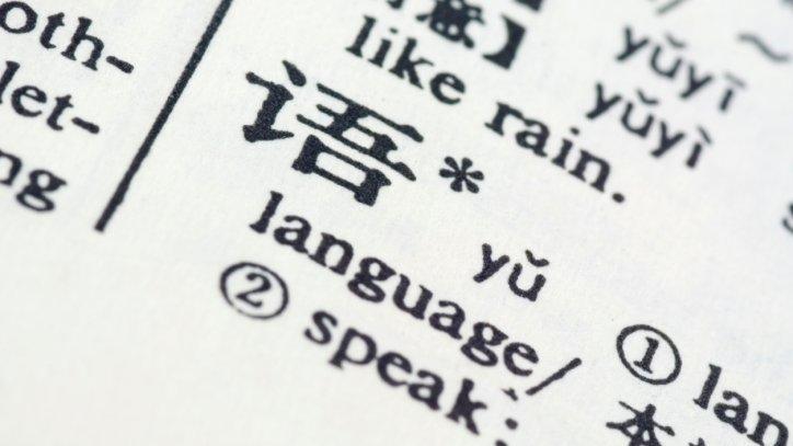 Chinese character "yu" - meaning language - in a dictionary