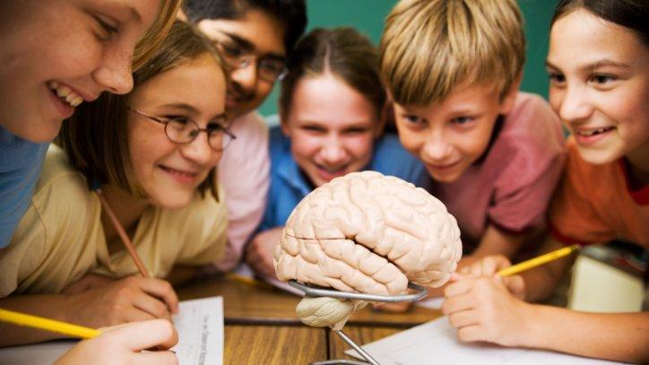 Brain in science class