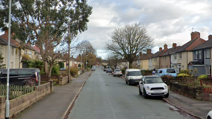 A long residential street with houses either side. There are cars parked on both sides of the road and large trees next to houses that are bare or have little green leaves